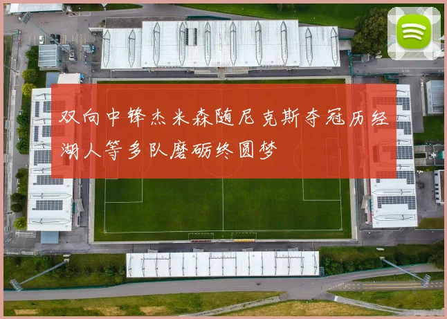 双向中锋杰米森随尼克斯夺冠历经湖人等多队磨砺终圆梦