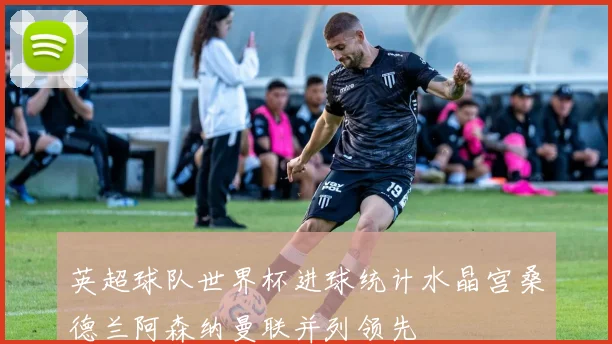 英超球队世界杯进球统计水晶宫桑德兰阿森纳曼联并列领先