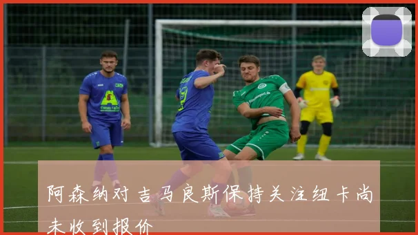 阿森纳对吉马良斯保持关注纽卡尚未收到报价