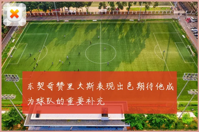 东契奇赞里夫斯表现出色期待他成为球队的重要补充